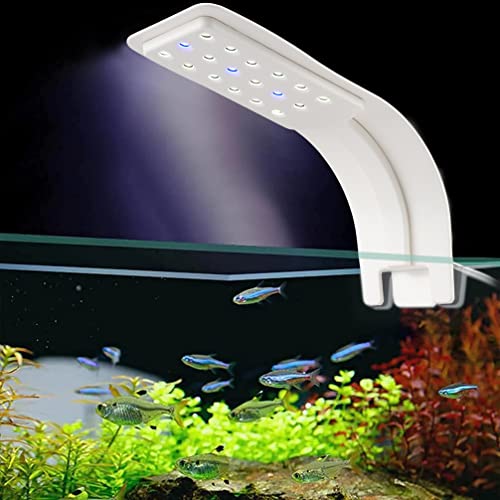 Water Rebirth Aquarium Clip-on led Light, Fish Tank Light with White and Blue LEDs, Small LED Aquarium Light for Freshwater Tank, 2 Lighting Modes (White)